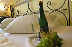Ferien-Weingut-Mosel